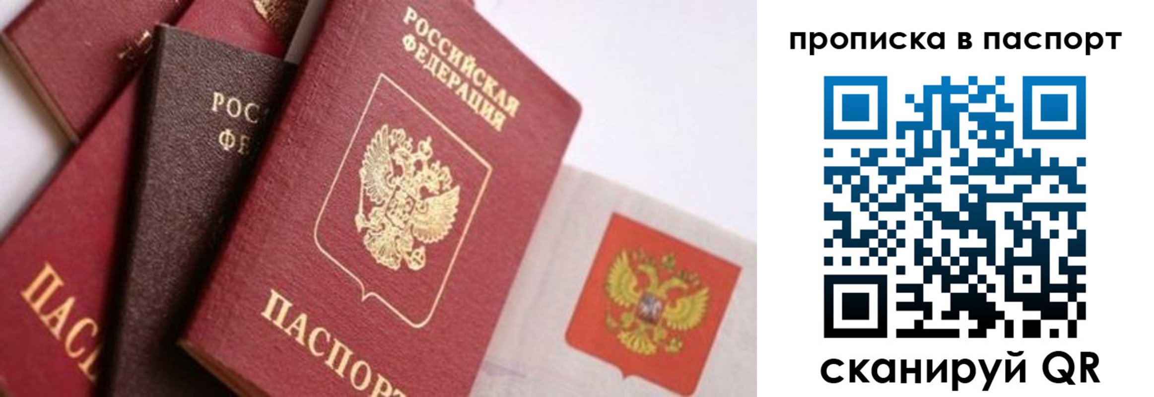прописка штамп в Ртищево